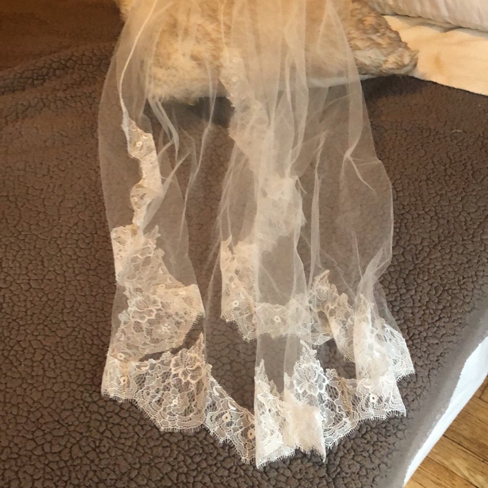 Veil - Picture 3 of 3